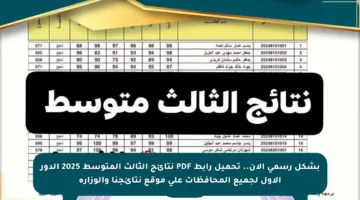 بشكل رسمي الآن.. تحميل رابط PDF نتائج الثالث المتوسط 2025 الدور الأول لجميع المحافظات على موقع نتائجنا والوزارة